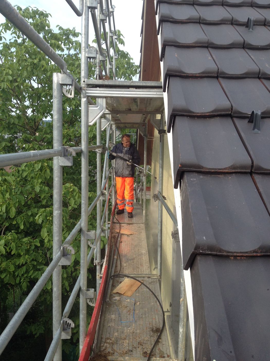 Bio - Putz HAGA, Wohlen, Foto 3